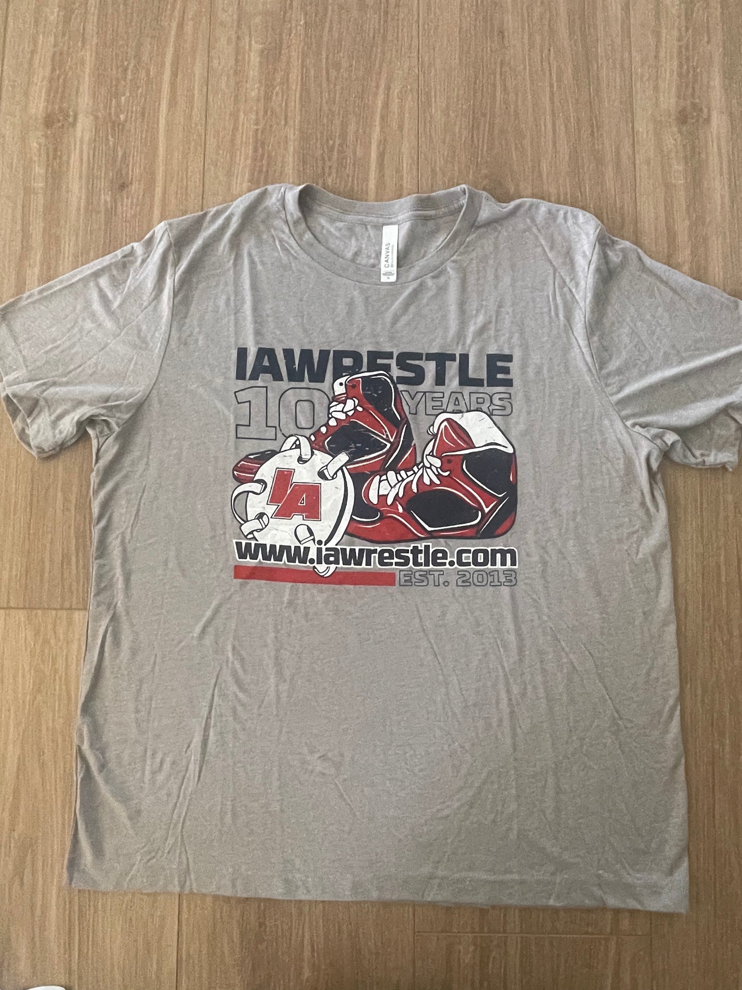 Adult Gray 10 year anniversary tshirt