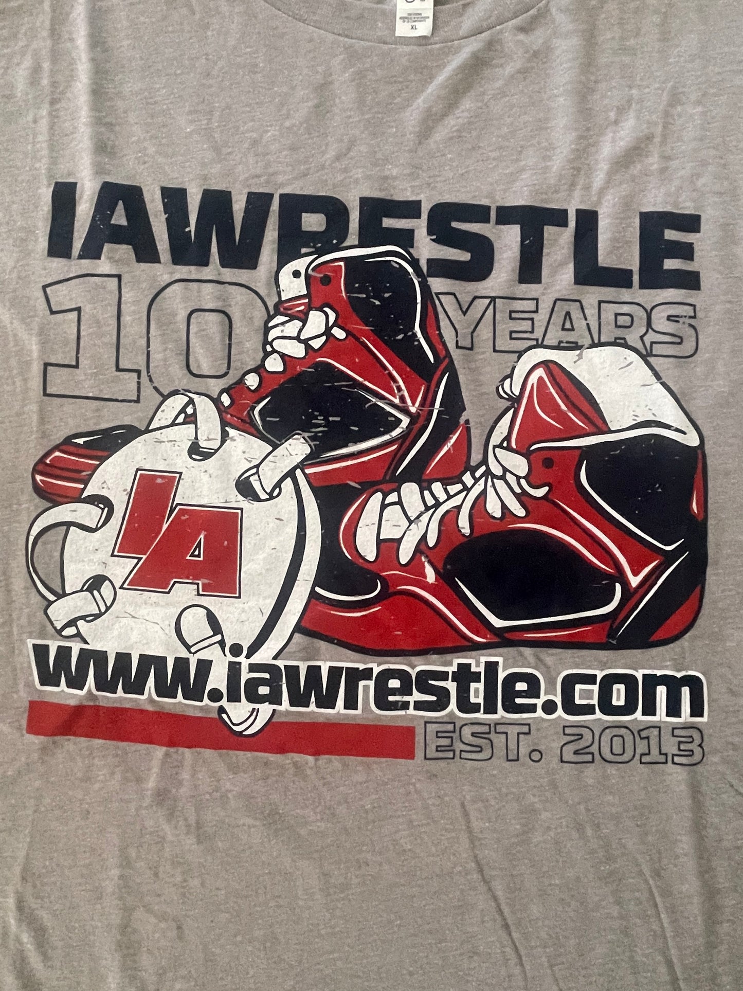 Adult Gray 10 year anniversary tshirt