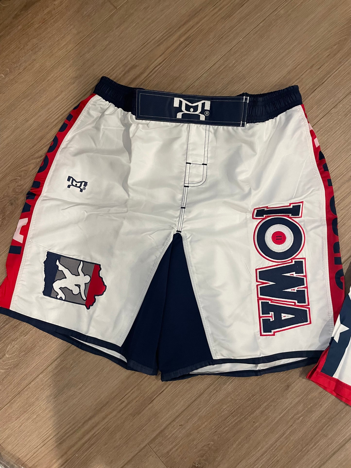 IAWrestle shorts